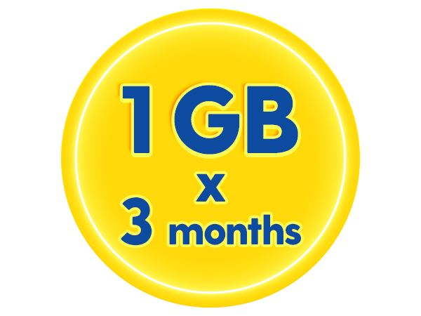 3 Months x 1GB Internet